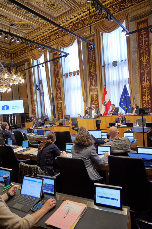 Am Rednerpult Bundesrat Michael Wanner (SPÖ)