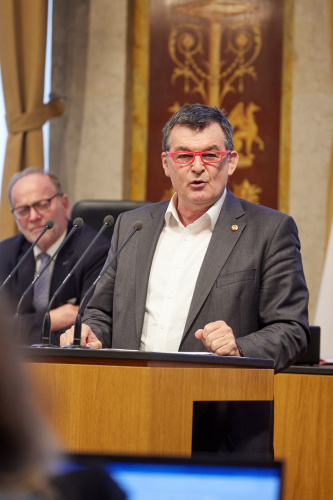 Am Rednerpult Bundesrat Michael Wanner (SPÖ)