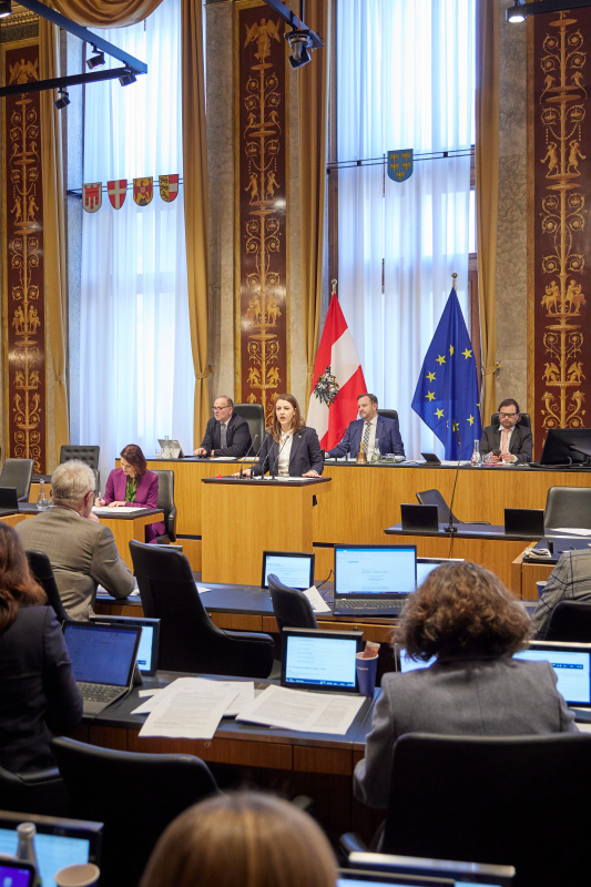Am Rednerpult Bundesrätin Bernadette Geieregger (ÖVP)