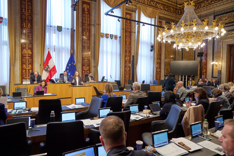 Am Rednerpult Bundesrätin Bernadette Geieregger (ÖVP)