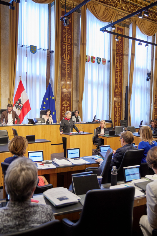Am Rednerpult Bundesrätin Bettina Lancaster (SPÖ)