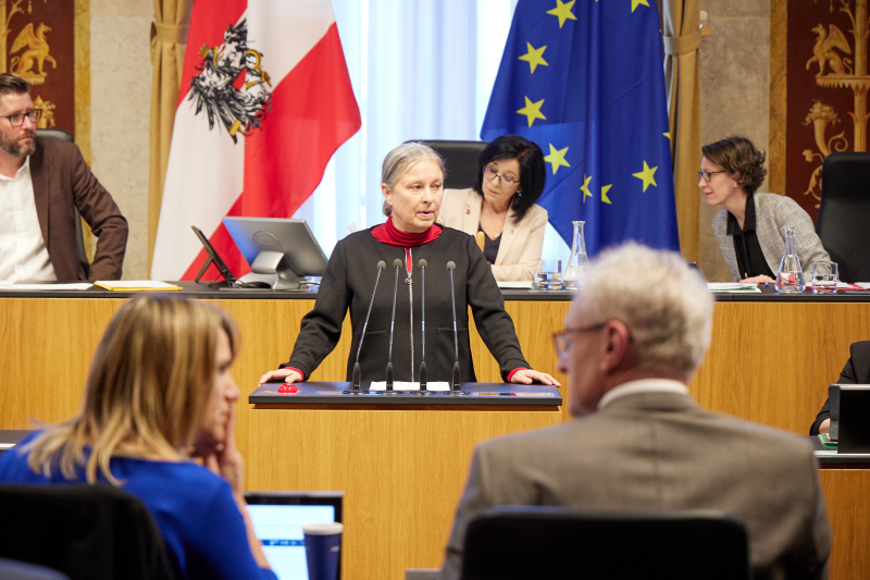 Am Rednerpult Bundesrätin Bettina Lancaster (SPÖ)