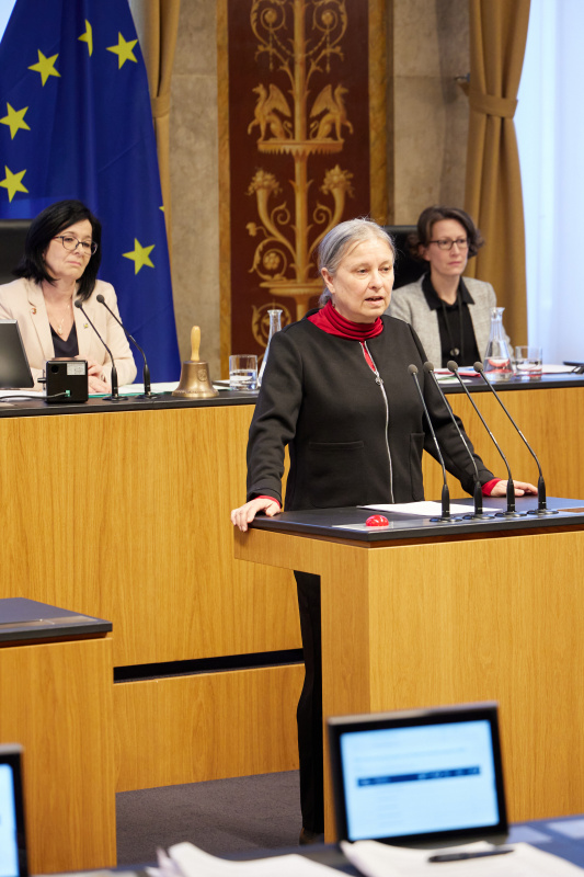 Am Rednerpult Bundesrätin Bettina Lancaster (SPÖ)