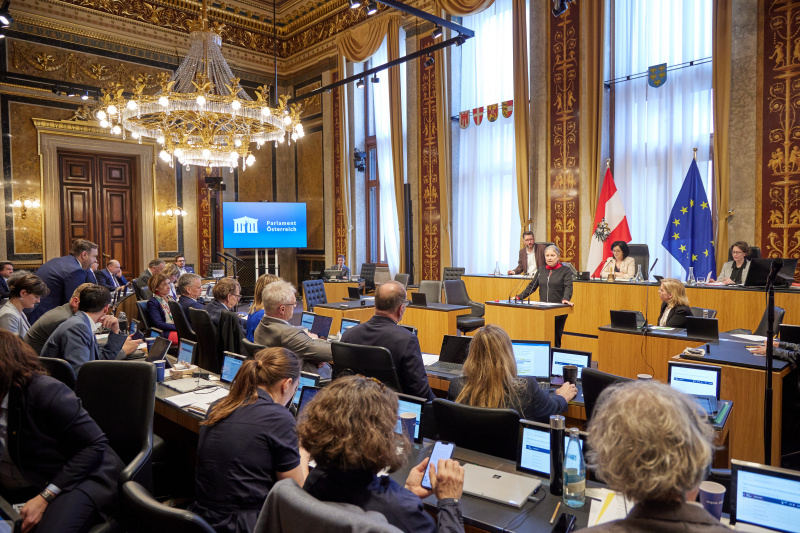 Am Rednerpult Bundesrätin Bettina Lancaster (SPÖ)