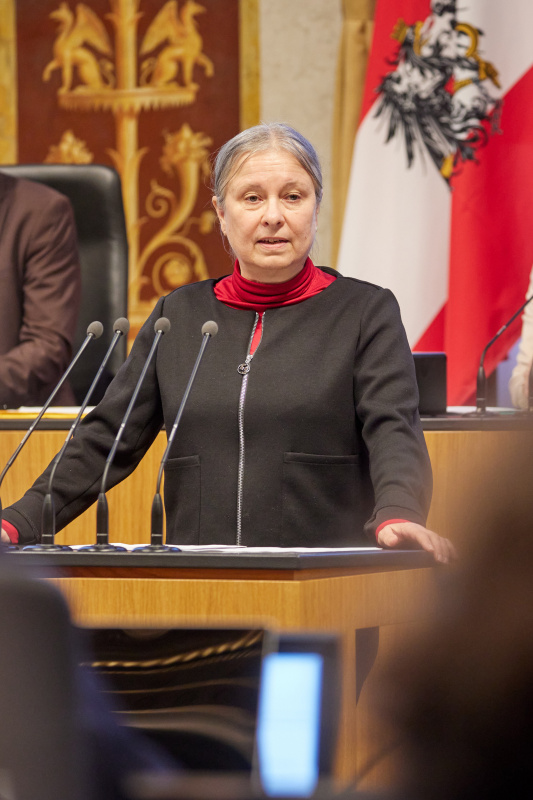 Am Rednerpult Bundesrätin Bettina Lancaster (SPÖ)