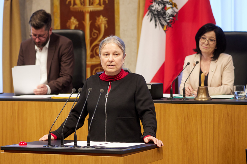 Am Rednerpult Bundesrätin Bettina Lancaster (SPÖ)