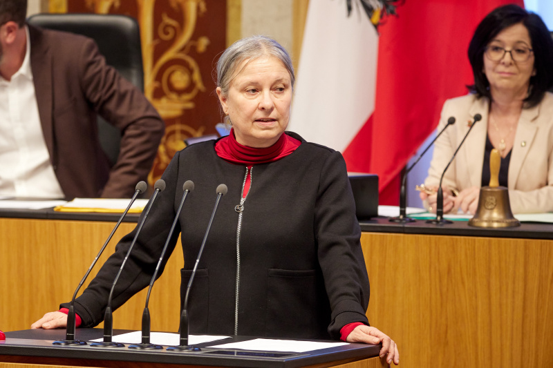 Am Rednerpult Bundesrätin Bettina Lancaster (SPÖ)