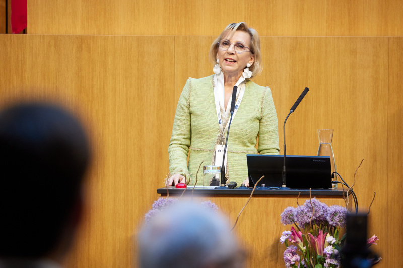 Innovation Nr. 2: Kooperative für Inklusion CECD, Portugal: „Case Manager koordinieren Frühförderungsprogramme" präsentiert von Karin Praniess-Kastner