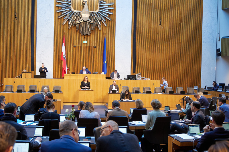 Am Rednerpult Nationalratsabgeordnete Fiona Fiedler (NEOS)