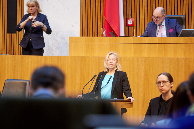 Am Rednerpult Nationalratsabgeordnete Verena Nussbaum (SPÖ)