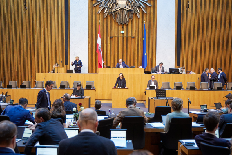 Am Rednerpult Nationalratsabgeordnete Martina Künsberg Sarre (NEOS)