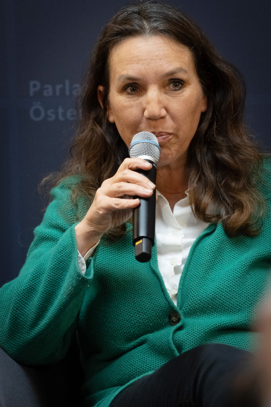 Podiumsdiskussion - Gleichstellung stärkt Demokratie und Gesellschaft - Nationalratsabgeordnete Ulrike Fischer (GRÜNE)
