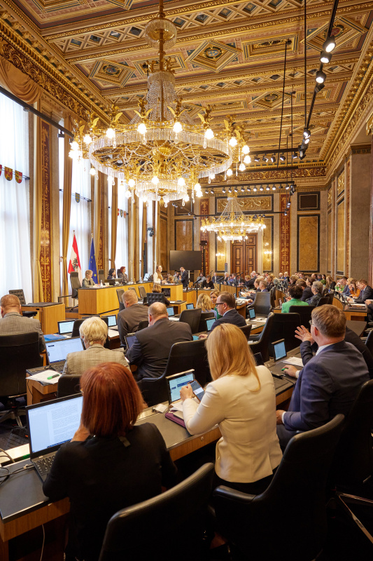 Am Redner:innenpult Bundesrätin Elisabeth Wolff (ÖVP)