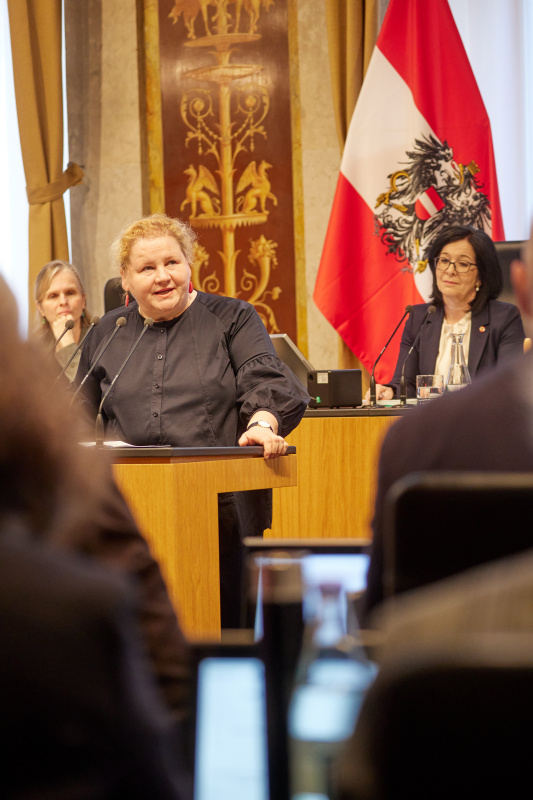 Am Redner:innenpult Vorsitzende der Bundesratsfraktion Korinna Schumann (SPÖ)