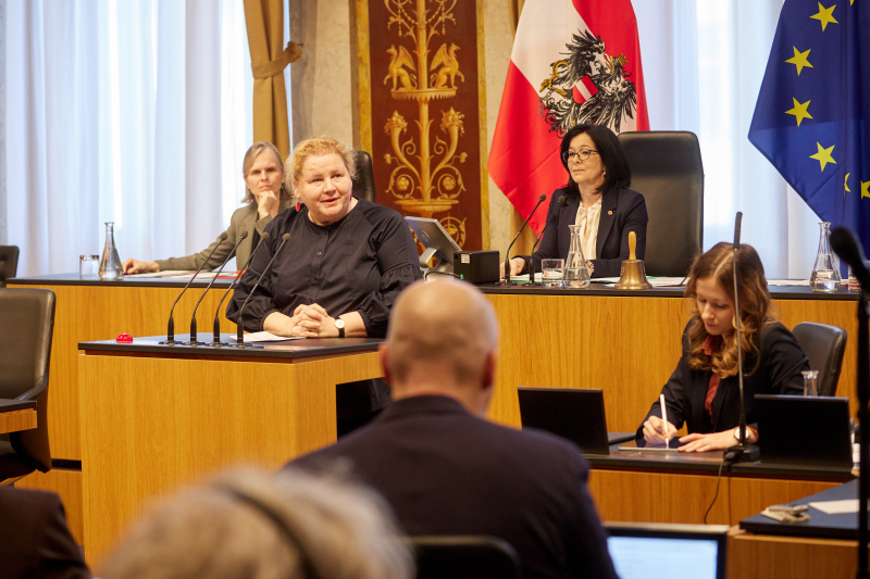 Am Redner:innenpult Vorsitzende der Bundesratsfraktion Korinna Schumann (SPÖ)