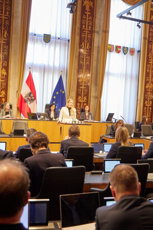 Am Redner:innenpult Bundesrätin Isabella Theuermann (FPÖ)