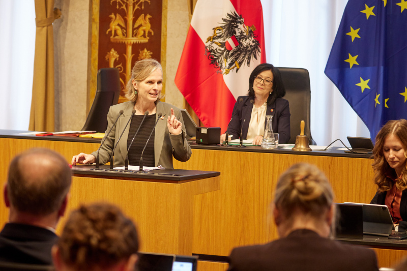 Am Redner:innenpult Bundesrätin Daniela Gruber-Pruner (SPÖ)