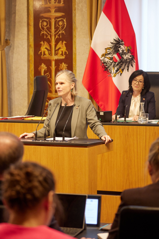 Am Redner:innenpult Bundesrätin Daniela Gruber-Pruner (SPÖ)