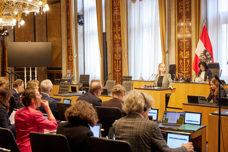 Am Redner:innenpult Bundesrätin Daniela Gruber-Pruner (SPÖ)