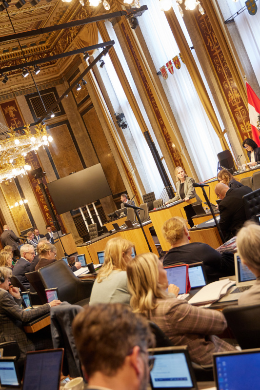 Am Redner:innenpult Bundesrätin Daniela Gruber-Pruner (SPÖ)