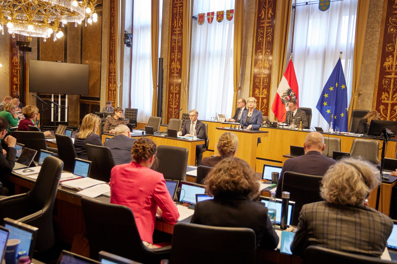 Am Redner:innenpult Bundesrätin Sandra Lassnig (ÖVP)