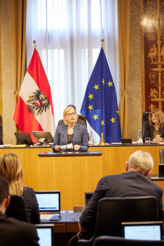 Am Redner:innenpult Bundesrätin Sandra Lassnig (ÖVP)