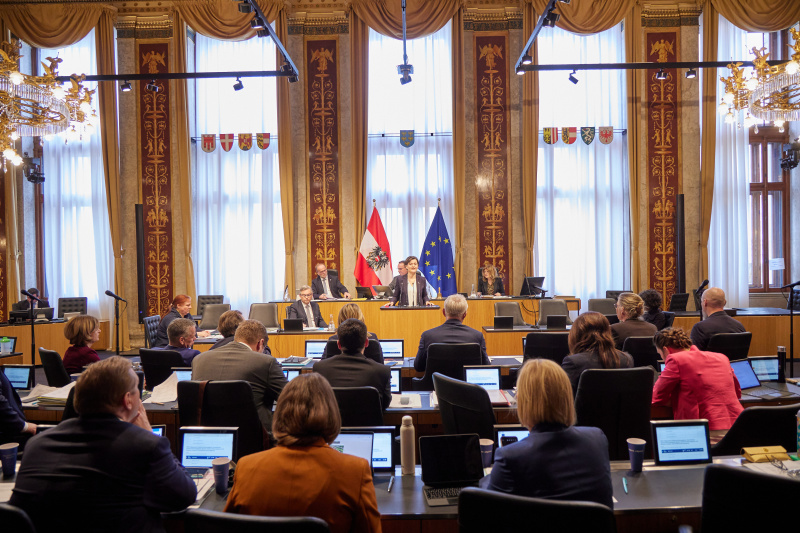 Am Redner:innenpult Bundesrätin Barbara Prügl (ÖVP)