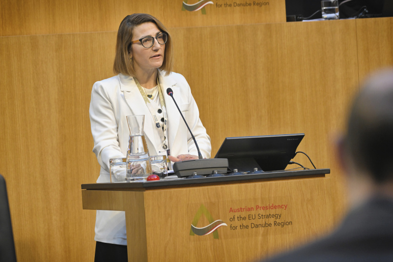 Session 1: Security in the Danube Region. Keynote. Senior Advisor, Austrian Institute for European and Security Policy Velina Tchakarowa