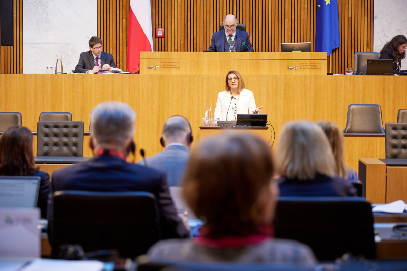 Session 1: Security in the Danube Region. Keynote. Senior Advisor, Austrian Institute for European and Security Policy Velina Tchakarowa