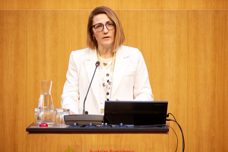 Session 1: Security in the Danube Region. Keynote. Senior Advisor, Austrian Institute for European and Security Policy Velina Tchakarowa