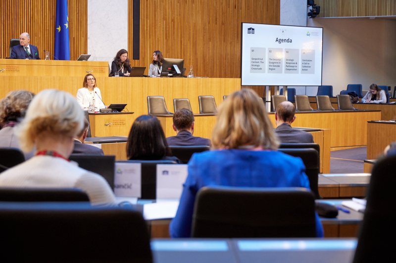 Session 1: Security in the Danube Region. Keynote. Senior Advisor, Austrian Institute for European and Security Policy Velina Tchakarowa