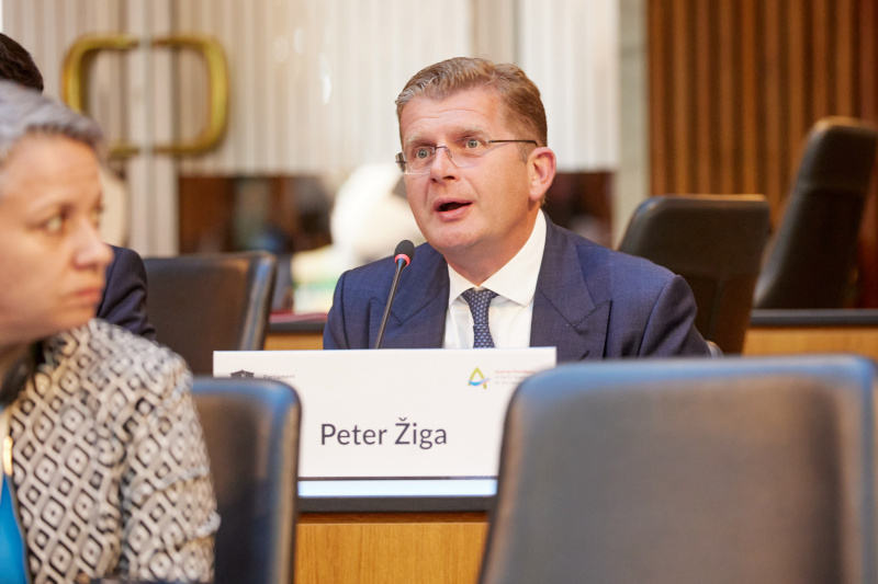 Session 1: Security in the Danube Region. Statement Peter Pellegrini, Speaker of the National Council Slovakia