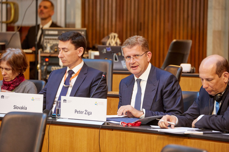 Session 1: Security in the Danube Region. Statement Peter Pellegrini, Speaker of the National Council Slovakia