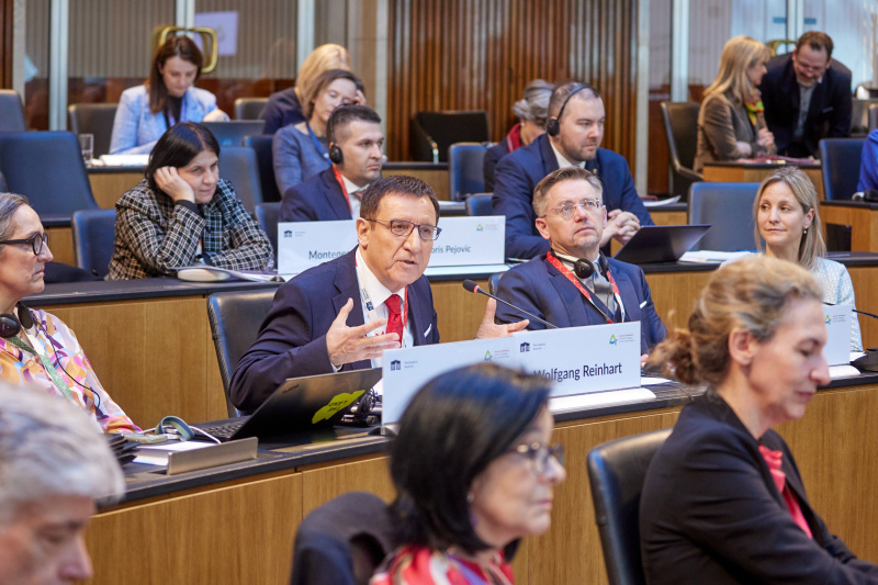 Session 1: Security in the Danube Region. Statement Wolfgang Reinhart, Vice-President, State Parliament of Baden-Wuerttemberg