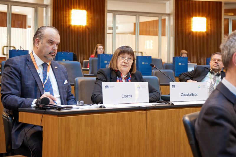 Session 1: Security in the Danube Region. Statement Zdravka Bušić Member of Parliament Croatia