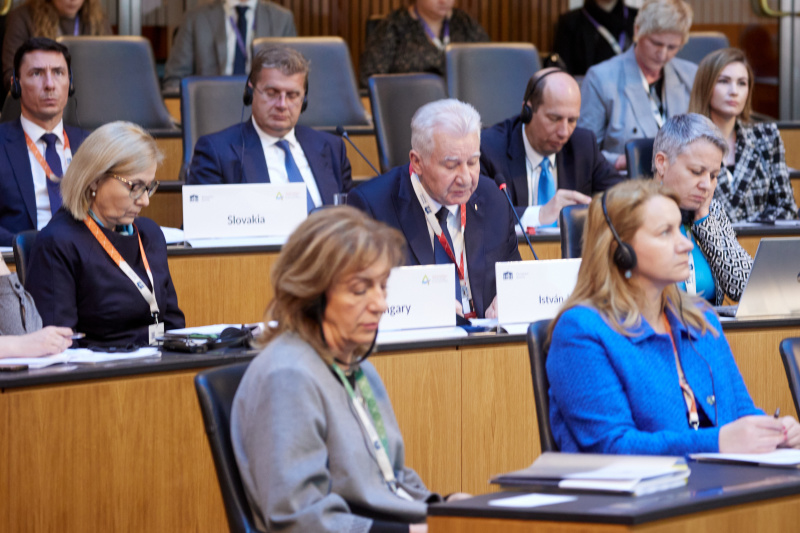 Session 1: Security in the Danube Region. Statement István Jakab Vice-President of the National Assembly Hungary