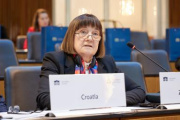 Session 1: Security in the Danube Region. Statement Zdravka Bušić Member of Parliament Croatia