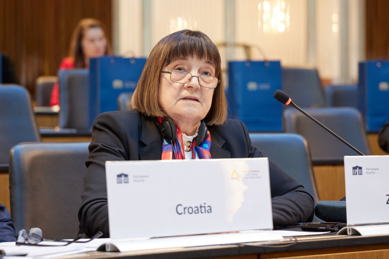 Session 1: Security in the Danube Region. Statement Zdravka Bušić Member of Parliament Croatia