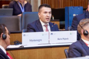 Session 2: Education for Democracy. Statement Vice-President of the Parliament of Montenegro Boris Pejovic