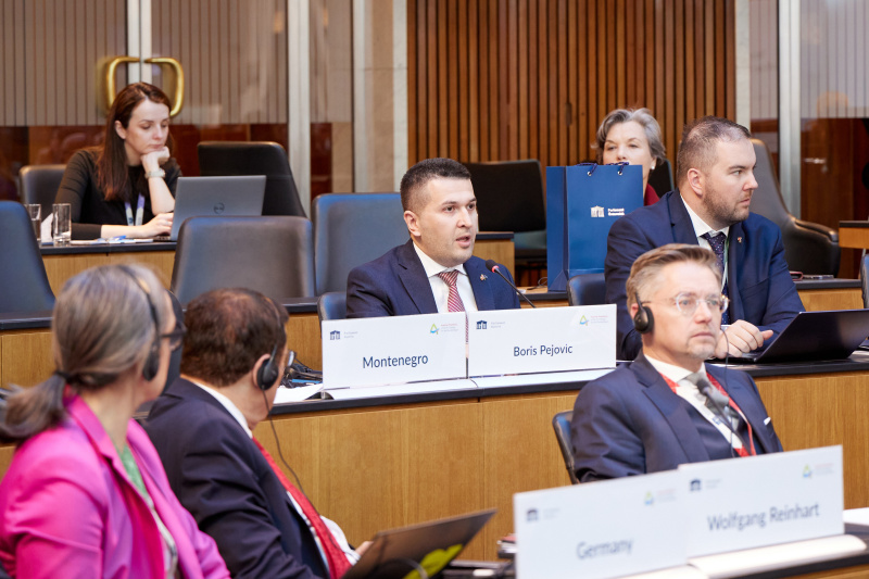 Session 2: Education for Democracy. Statement Vice-President of the Parliament of Montenegro Boris Pejovic