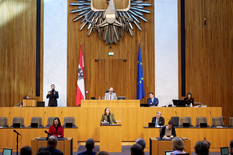 Am Rederpult Nationalratsabgeordnete Julia Elisabeth Herr (SPÖ)