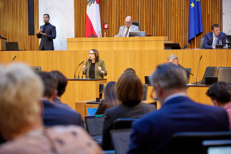 Am Rederpult Nationalratsabgeordnete Julia Elisabeth Herr (SPÖ)