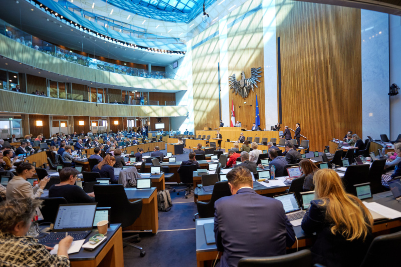 Am Rednerpult Nationalratsabgeordnete Michaela Schmidt (SPÖ)