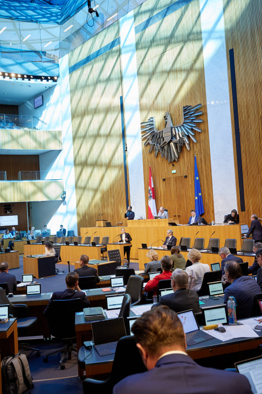 Am Rednerpult Nationalratsabgeordnete Michaela Schmidt (SPÖ)