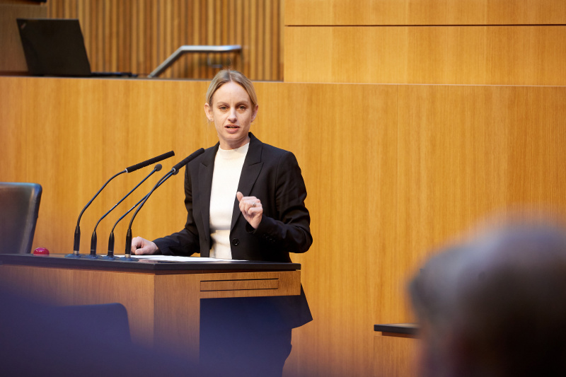 Am Rednerpult Nationalratsabgeordnete Michaela Schmidt (SPÖ)
