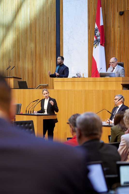 Am Rednerpult Nationalratsabgeordnete Michaela Schmidt (SPÖ)