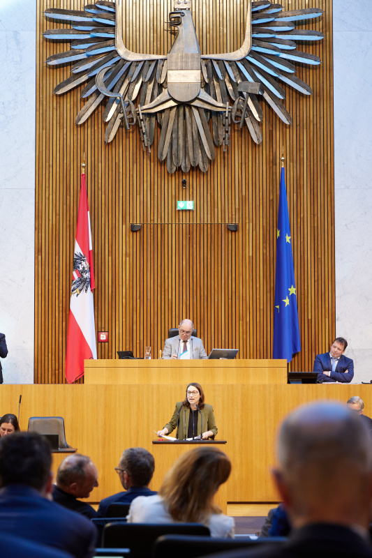 Am Rednerpult Nationalratsabgeordnete Julia Elisabeth Herr (SPÖ)