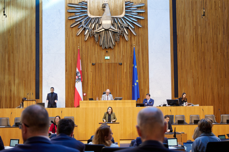 Am Rednerpult Nationalratsabgeordnete Julia Elisabeth Herr (SPÖ)
