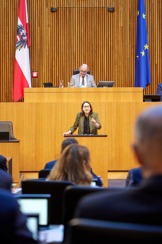 Am Rednerpult Nationalratsabgeordnete Julia Elisabeth Herr (SPÖ)