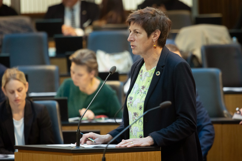 Nationalratsabgeordnete Astrid Rössler (GRÜNE) am Redner:innenpult